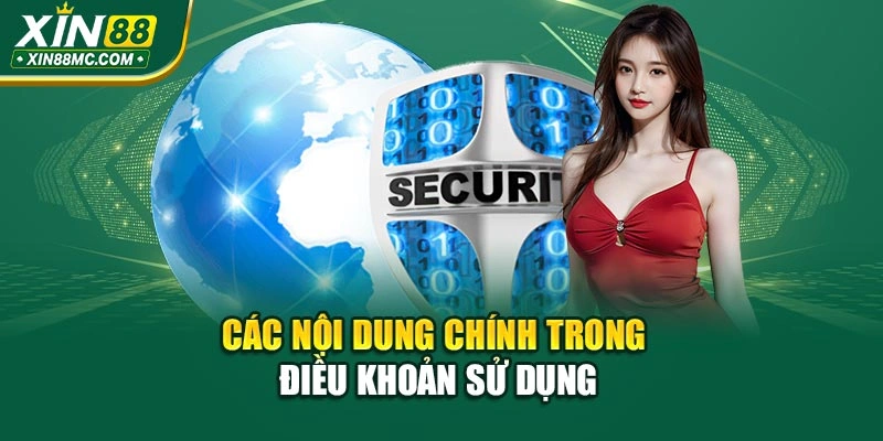 Các nội dung chính trong điều khoản sử dụng